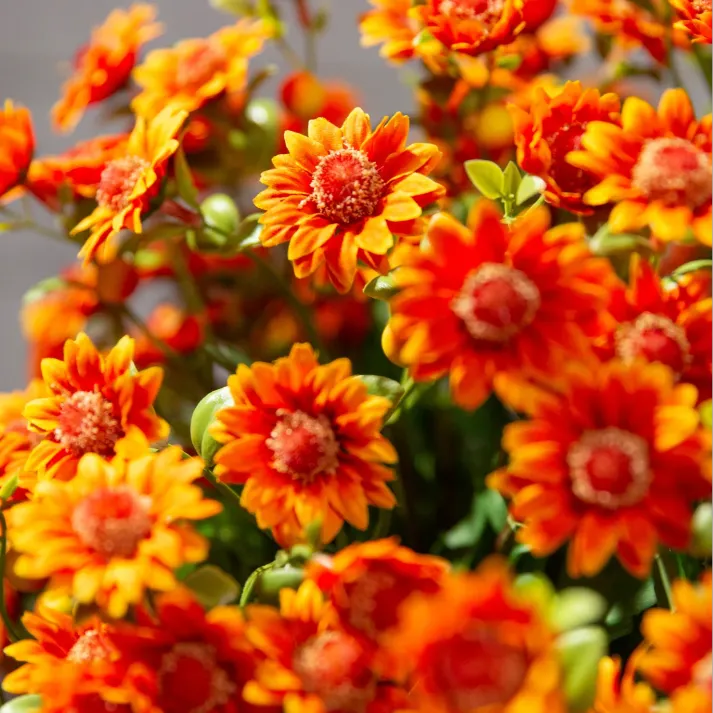 🍂Autumn's Beauty, Made to Last! A single pot of these artificial mums brings the season's warm colors to your home, and they'll never fade.🔥