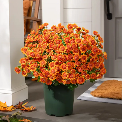 🍂Autumn's Beauty, Made to Last! A single pot of these artificial mums brings the season's warm colors to your home, and they'll never fade.🔥