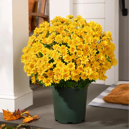 🍂Autumn's Beauty, Made to Last! A single pot of these artificial mums brings the season's warm colors to your home, and they'll never fade.🔥