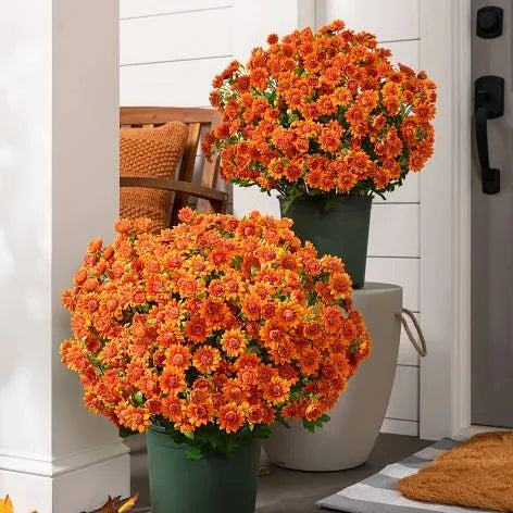 🍂Autumn's Beauty, Made to Last! A single pot of these artificial mums brings the season's warm colors to your home, and they'll never fade.🔥